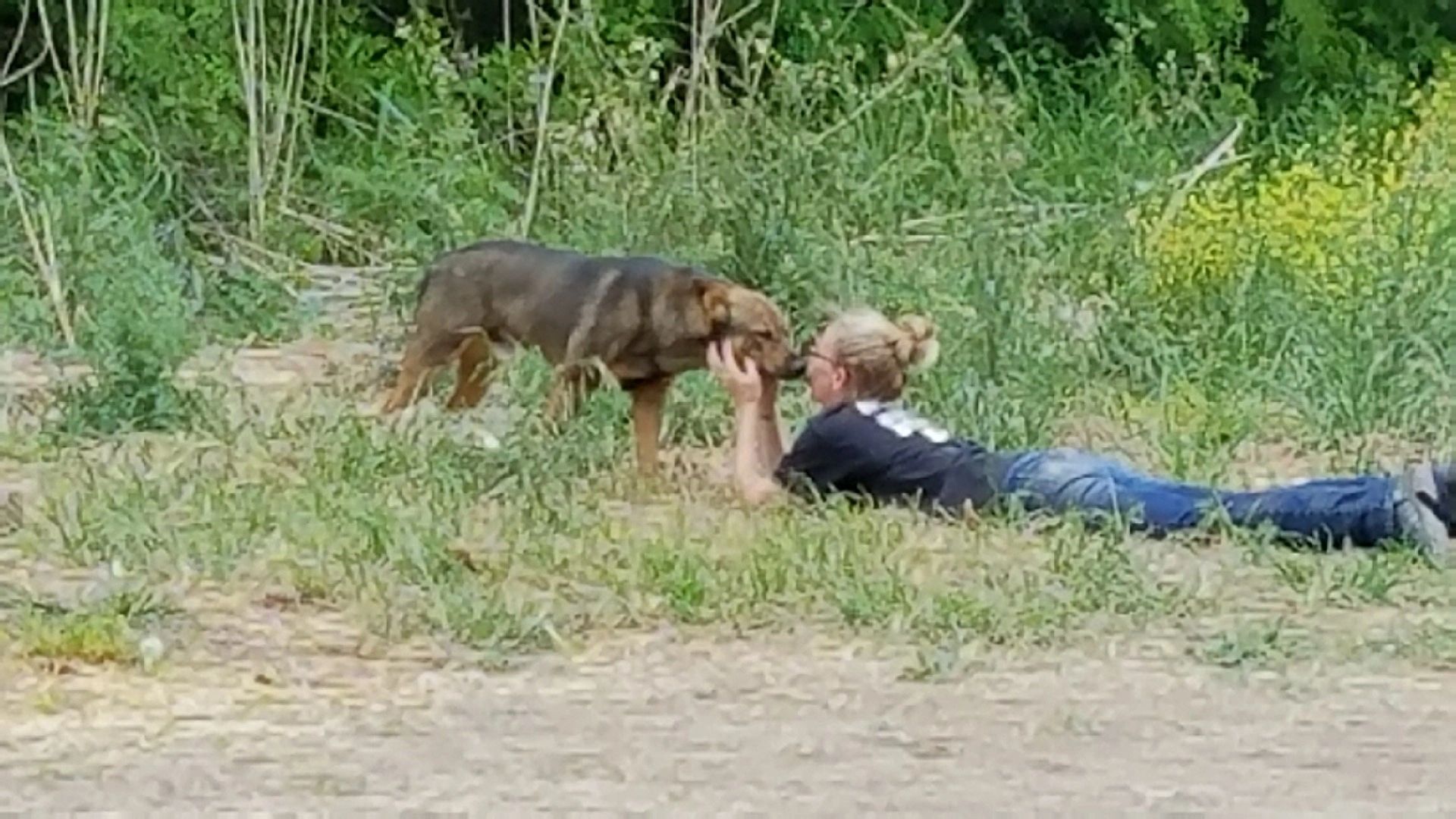 About Us Twisted Tails Animal Rescue