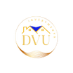 DVU Investments