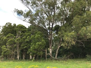 Land Eco Consulting Accredited Biodiversity Assessors in BAM and Biodiversity Stewardship Offsets.