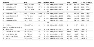 Race results showing top 10 positions with details on band, color, sex, arrival, miles, and times.