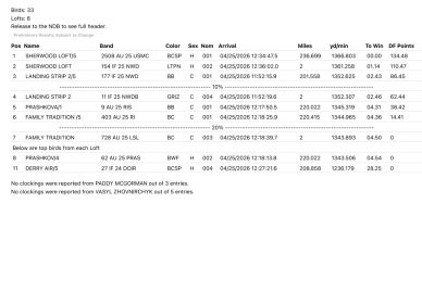 Leaderboard showing bird race results with top birds, speeds, and points.