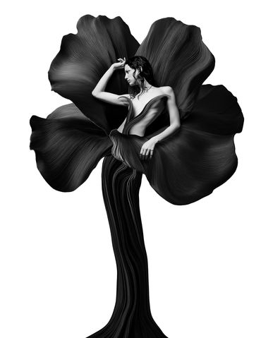 "Blossom"
Photo Composite
Matted to 20" x 24"