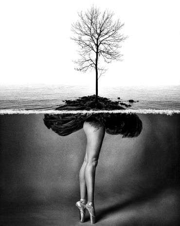 "Island Ballet"
Photo Composite
Matted to 20" x  24"