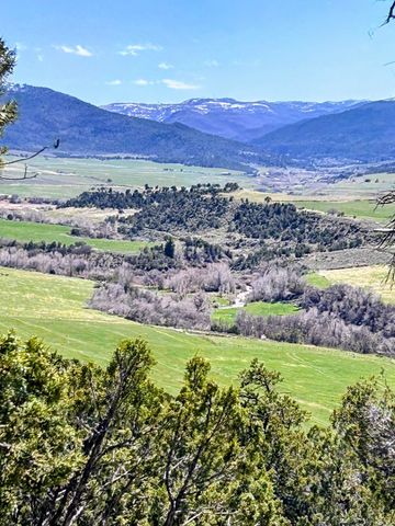 View from my Backyard 