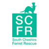 South Cheshire Ferret Rescue