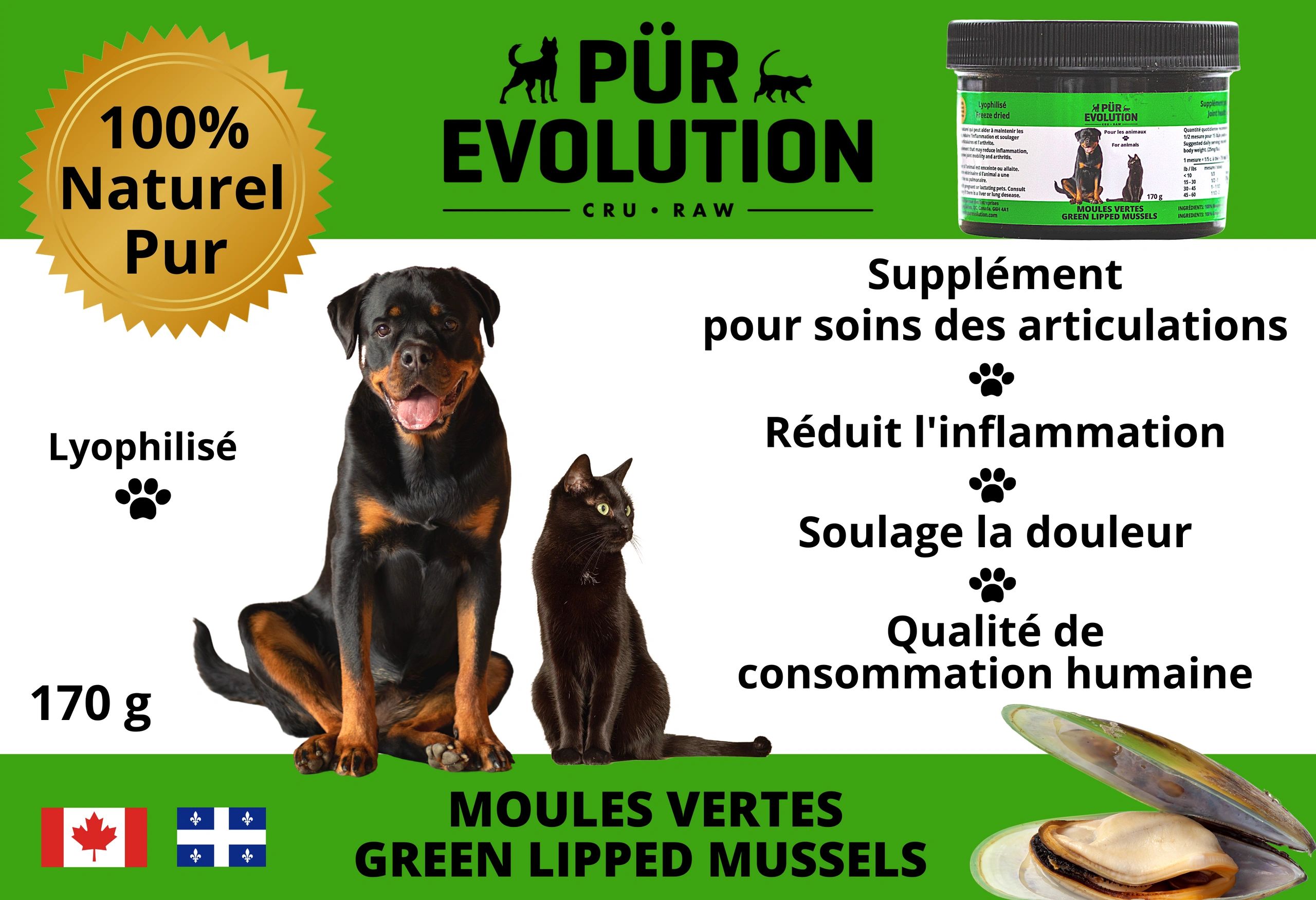 Moule Verte – Pattedeau Bio Inc.