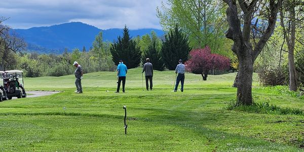 Men playing golf
