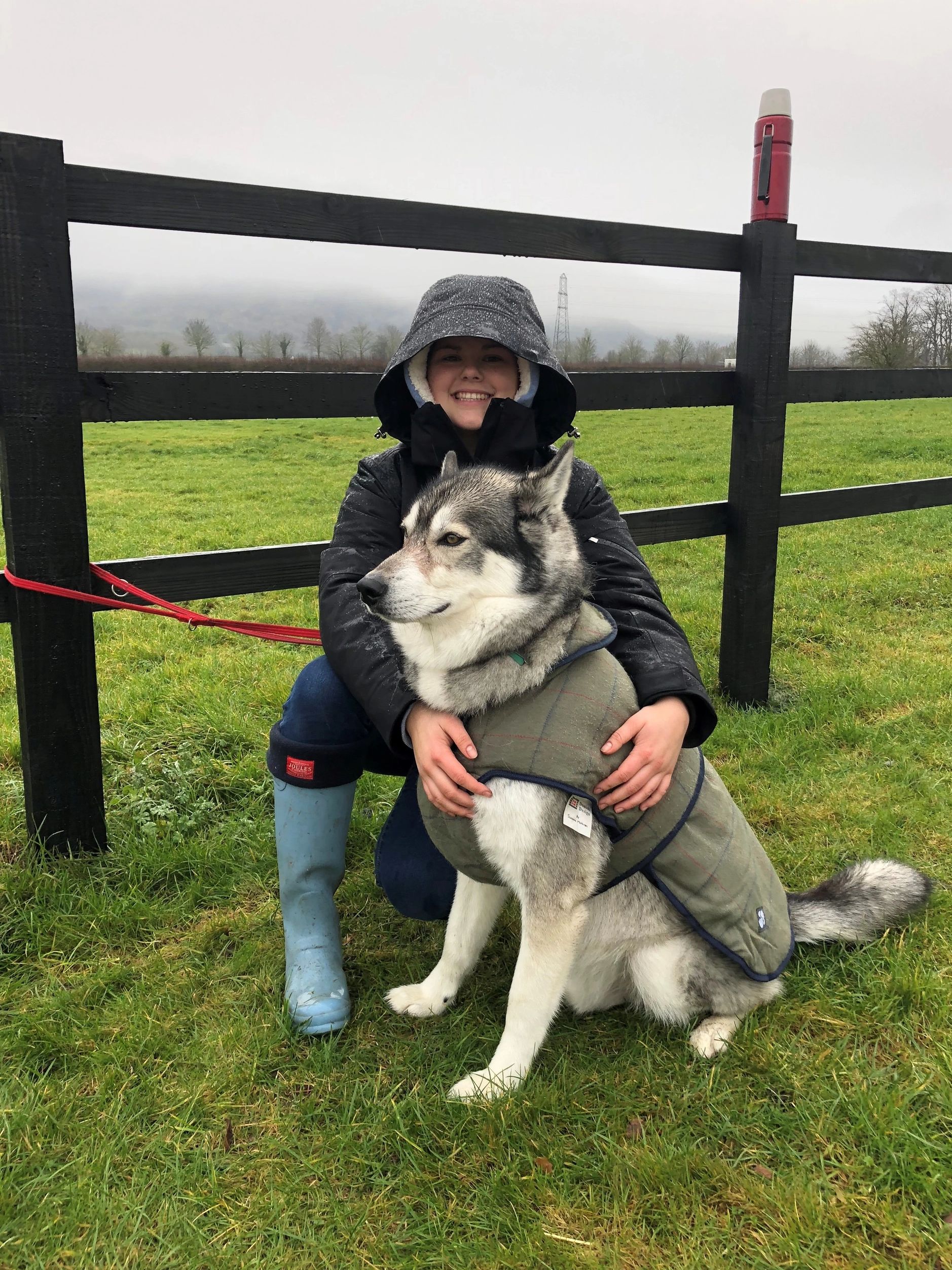 Dog Walking, Dog Walking Muddy Mutts Thornbury, England