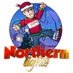 Northern lights Christmas Lighting & Design
By Christian 