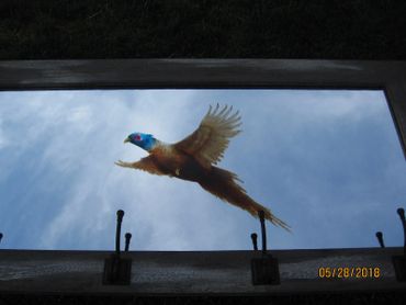 image89