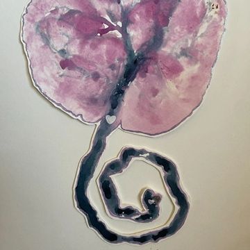 Placenta encapsulation, placenta art, doula, colorado springs placenta encapsulation, colorado 