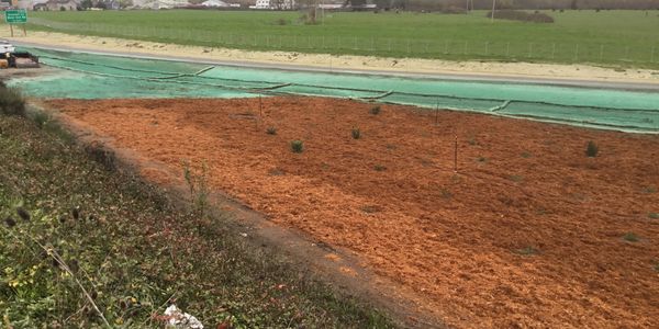 OUR FIRST DBE PROJECT. PLANTS DELIVERED AT THE SITE IN EUREKA, CA. THANKS DEVIL MOUNTAIN NURSERY.