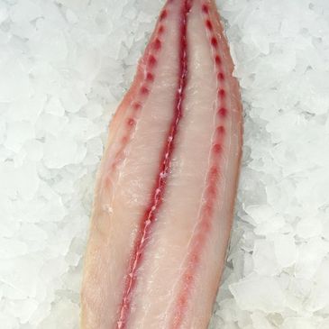 Frozen Mahi Mahi Fillets -Co Treated 
Origin-Oman