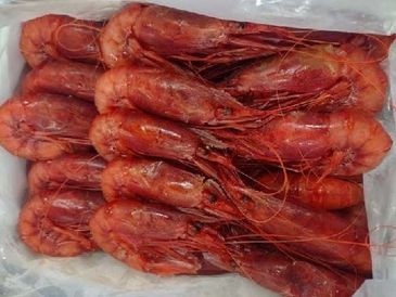A pile of fresh red shrimp stacked closely together.