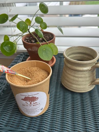 Cup of coffee, organic maple sugar, and a green potted plant on a table.