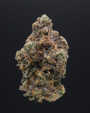 Close-up of a cannabis bud with orange hairs.