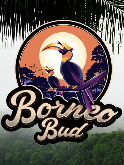 Logo featuring two hornbills with text 'Borneo Bud'.