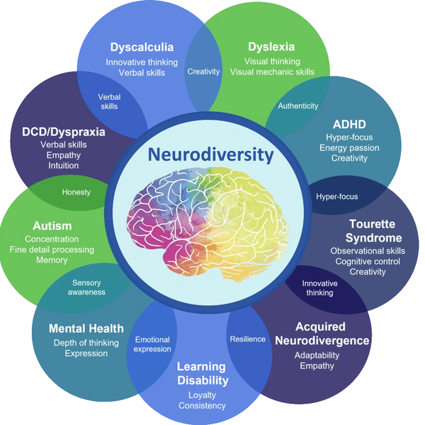 A wheel of circles showing the variety of neurodiversity challenges included Autism, ADHD, Dyslexia 
