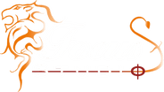 Focus Studio
