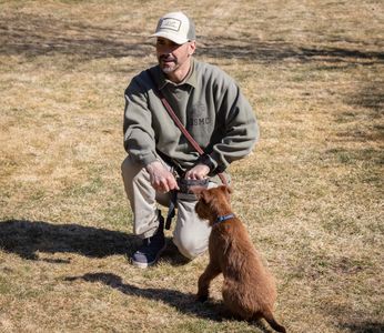 Dog training and dog behavior with puppies.