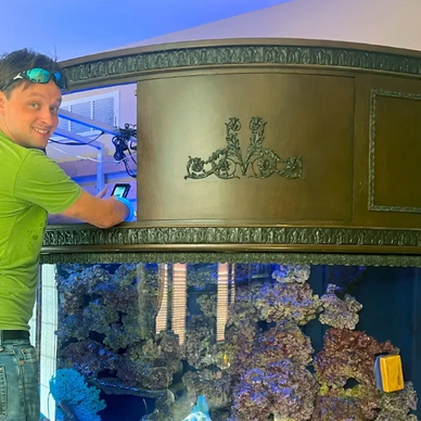 Aquarium maintenance by Aquarium Design Studios