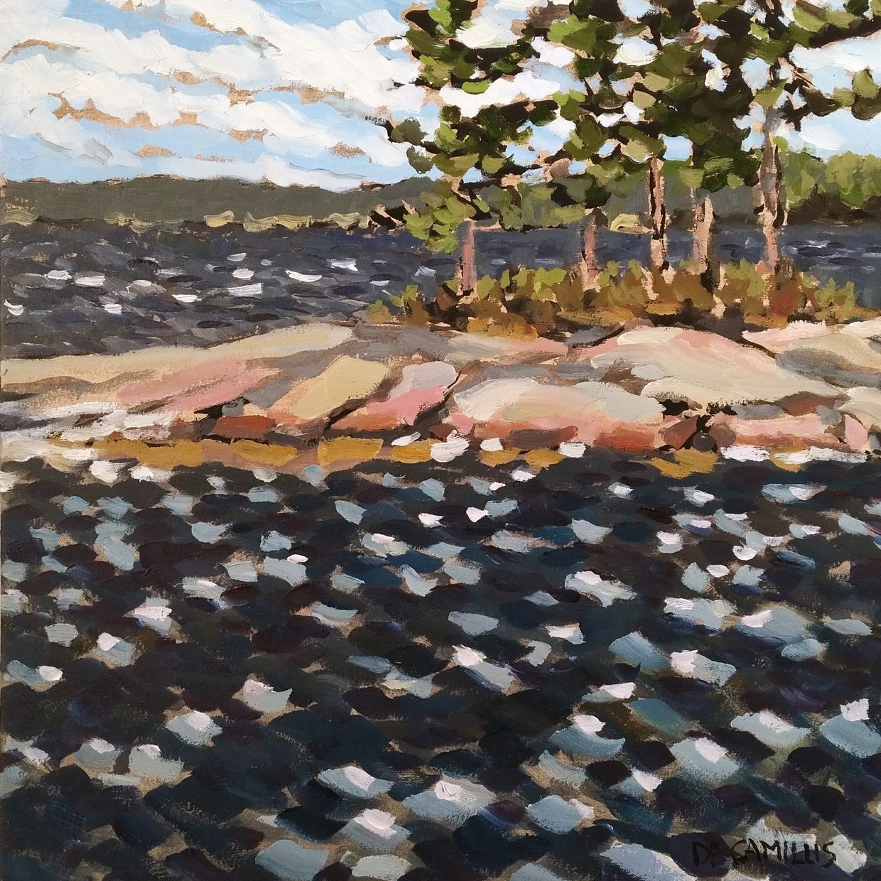 A pein air oil painting of the winds on Georgian Bay by Laurie De Camillis