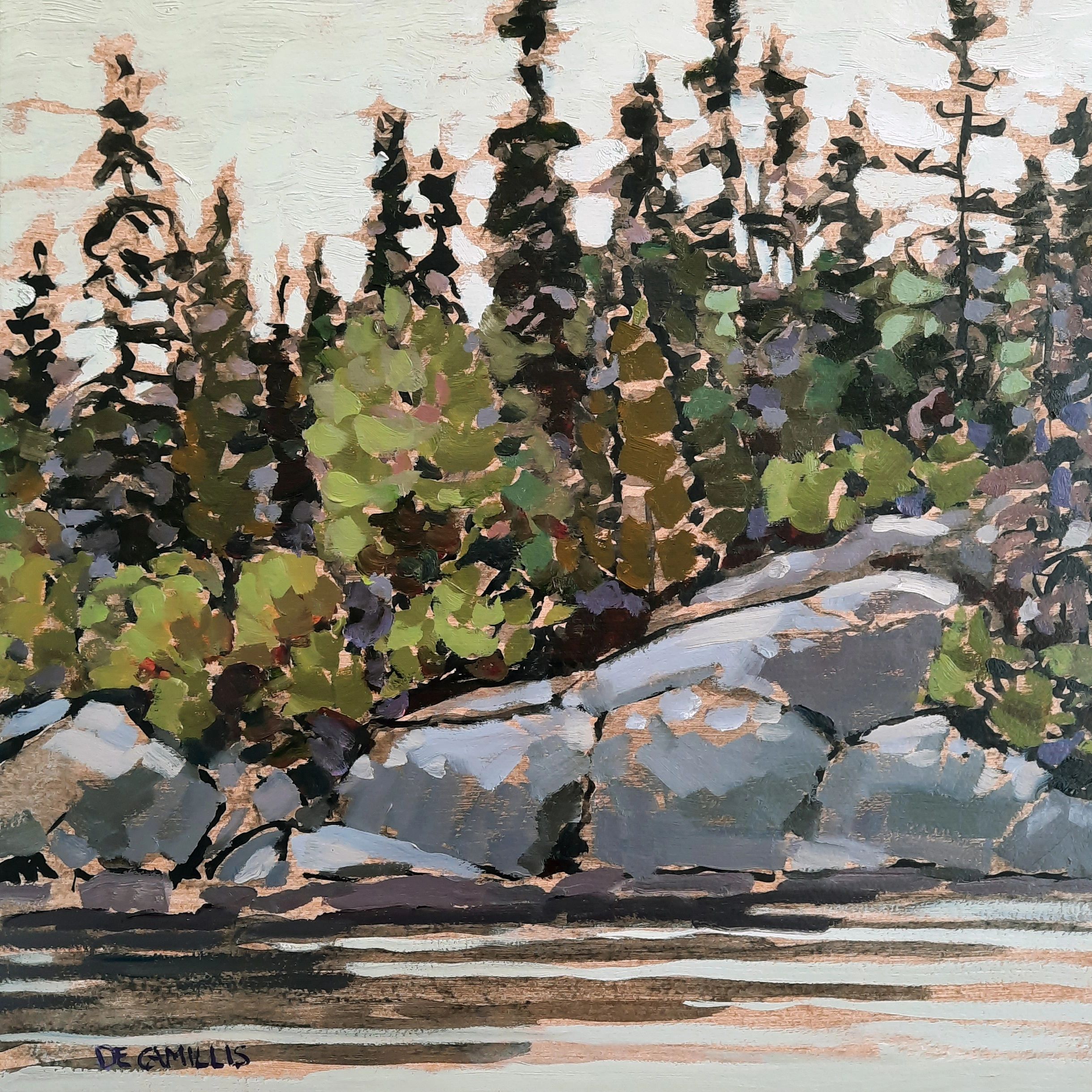 trees on the Precambrian shield