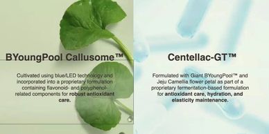 Comparison of BYoungPool Callusome™ and Centellac-GT™ skincare ingredients.