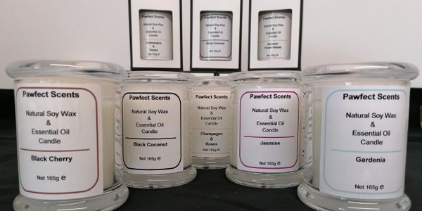 Pawfect Scents - Pet Friendly Vegan Wax Melts - Dotty 4 Paws