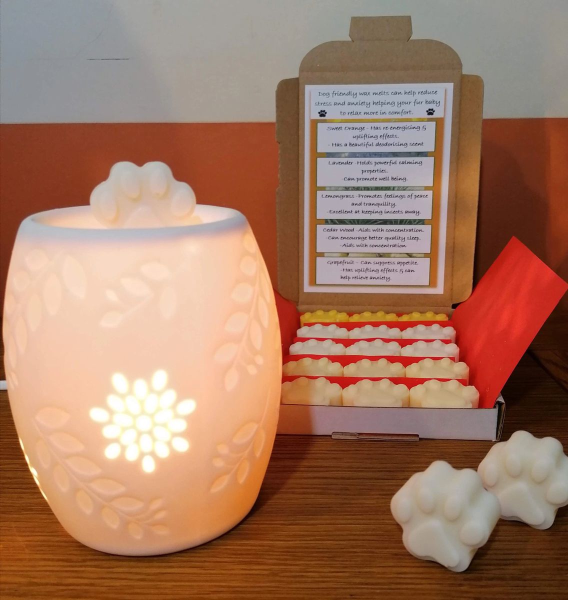 Electric Wax Warmer Starter Pack