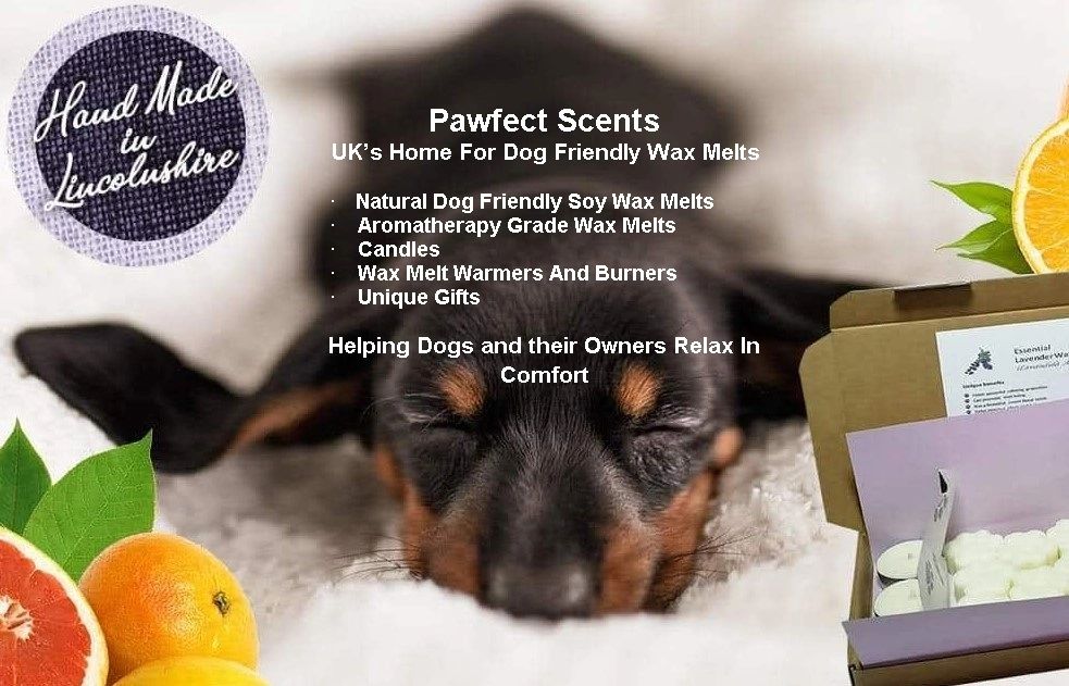Pawfectscents Wax Melts Dog Friendly Ptsd Pawfectscents Wax Melts