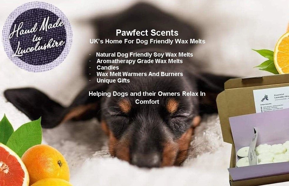 Pet Friendly Wax Melts – Paws Right There