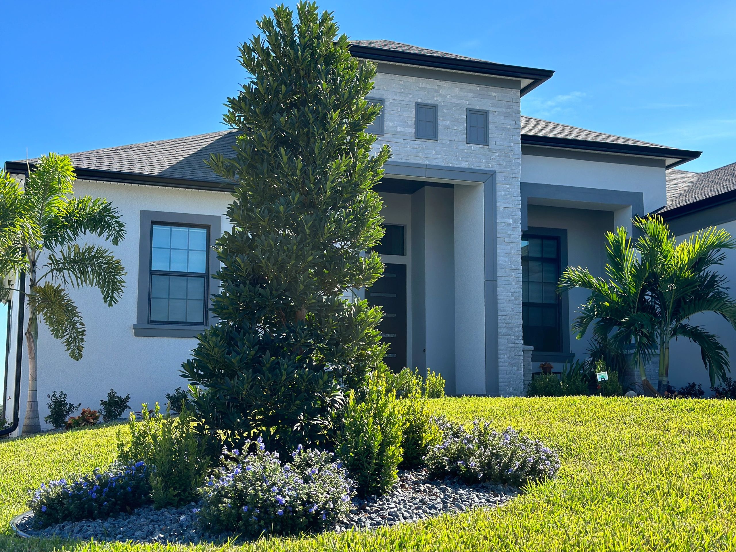 Sergio Landscape Design