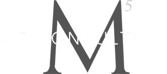 M5 Consulting