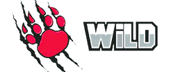 WILD VOLLEYBALL CLUB