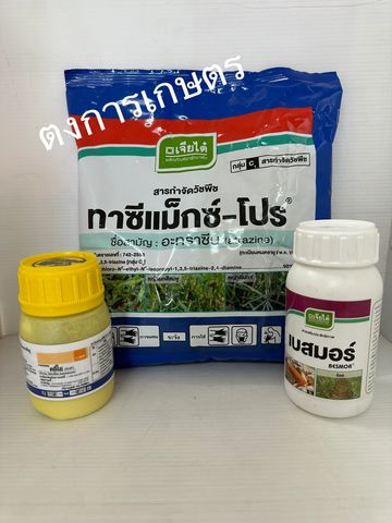 คลีโอโปร