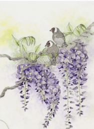 The Wisteria House
