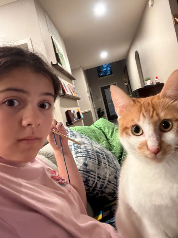 Person and cat in a cozy room.