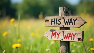 Wooden signpost with arrows labeled 'HIS WAY' and 'MY WAY' in a field of yellow flowers.