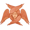 SixWing 
Aesthetics