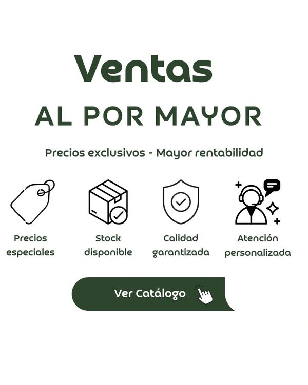 VENTAS AL POR MAYOR