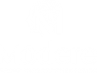 Modere Scalp Micropigmentation 