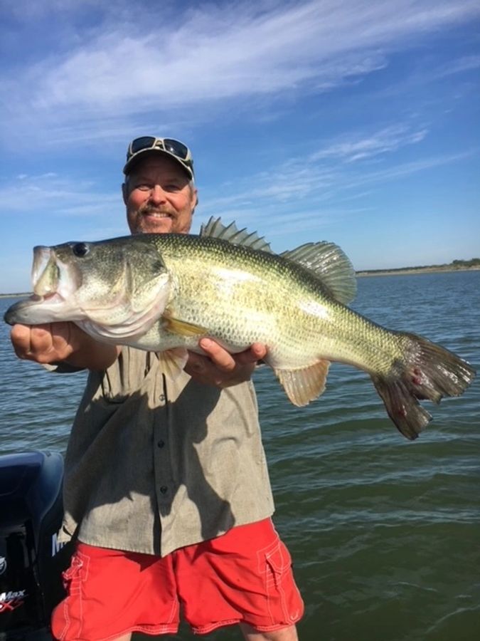 Big bass on Choke Canyon