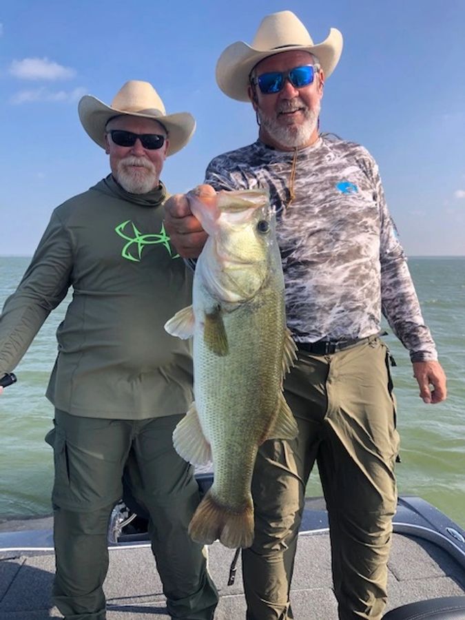 Largemouth bass guide