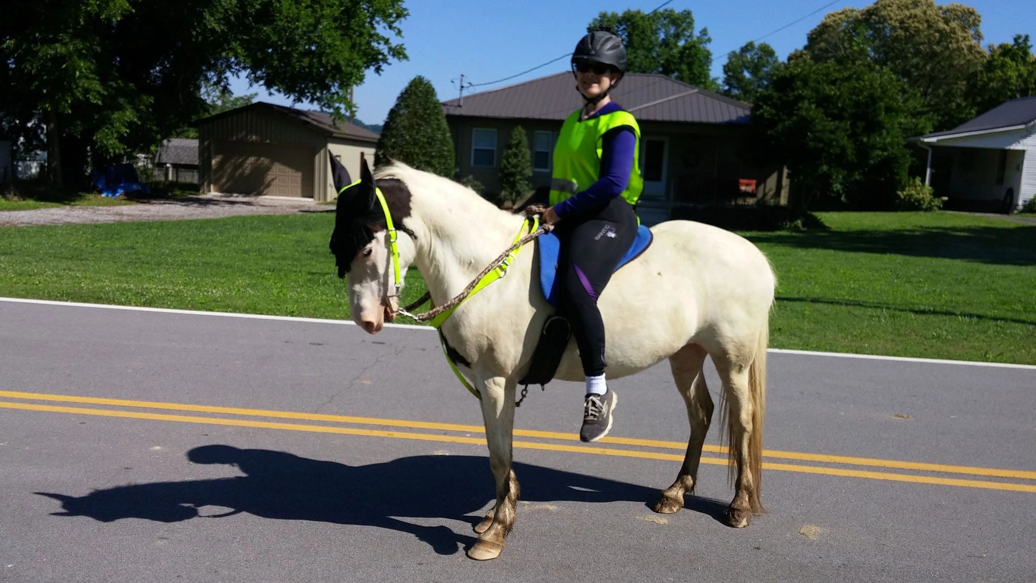 Horse Riding Therapy with Rheumatoid Arthritis