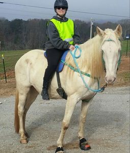 Ivory being ridden by our bare foot trimmer