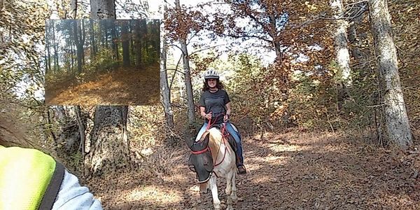 Horseback riding in the fall
