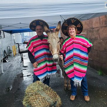 Two people in colorful ponchos and sombreros with a donkey under a tent.