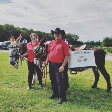 Two people with decorated donkeys, one donkey carries a wedding sign.