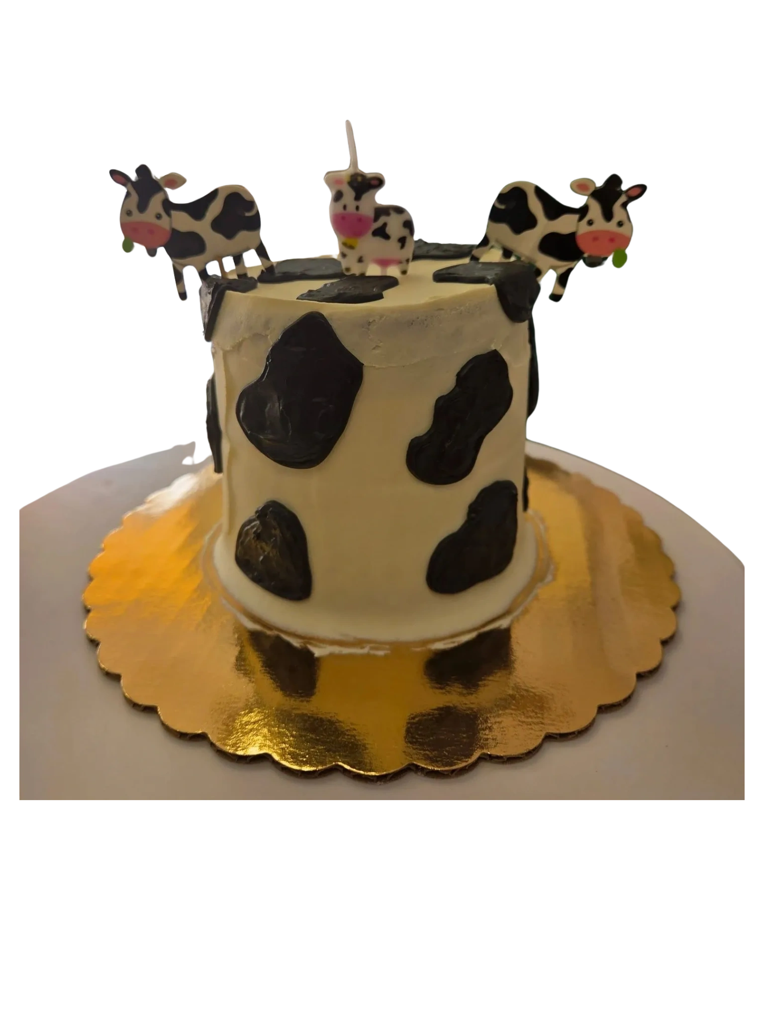 Dog Bakery Dog Birthday Cakes San Antonio, Tx Puppychinos